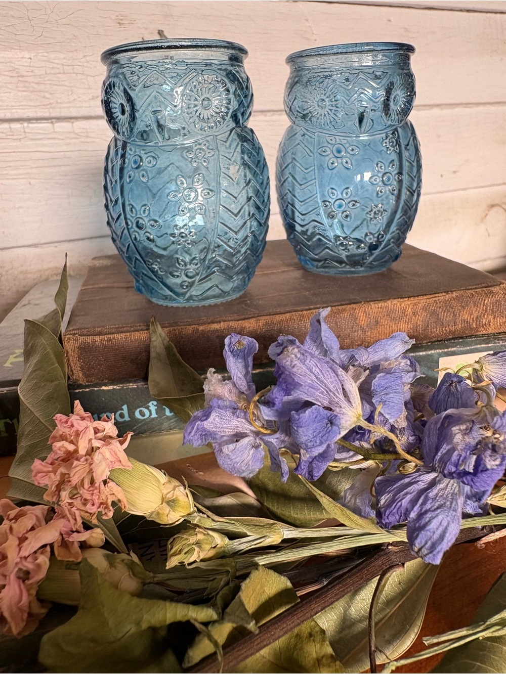 Pair of Blue Embossed Glass Owl Decorative Jars for Toothpicks or Flowers